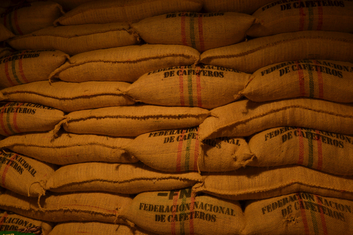 Pack Familiar 4 Bolsas - Café Orgánico Don Leonte (1kg) 👨👩👧👦